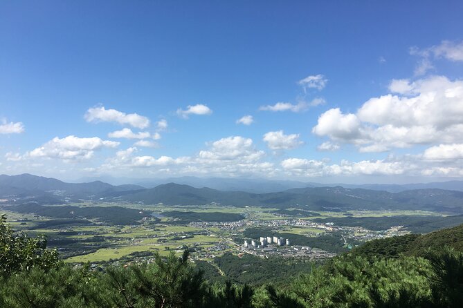 Gyeongju Temple Stay and 2 Days Private Tour Learning Monks Martial Arts - Temple Stay Experience Overview