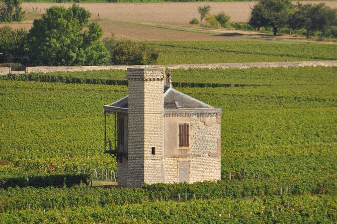 Half-Day Private Tour in Côte De Nuits - Tour Highlights