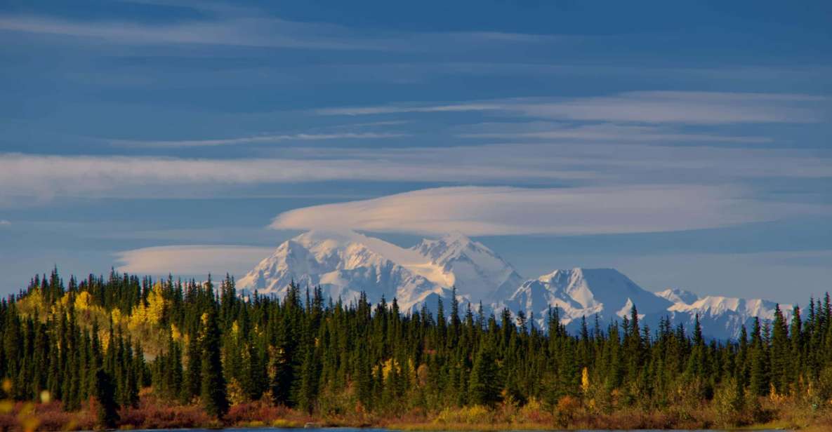 Healy: Denali National Park Self-Guided Jeep Adventure - Adventure Highlights