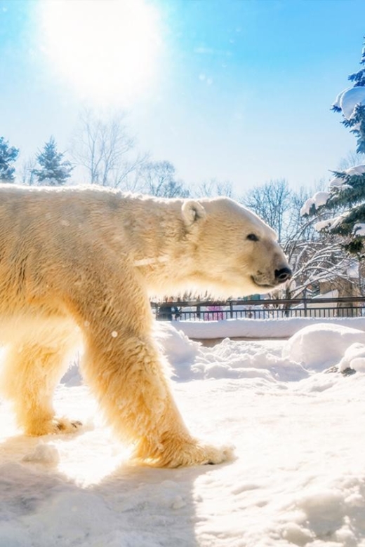Hokkaido:Asahiyama Zoo, Shirahige Falls & Biei Pond Day Tour - Tour Duration and Cancellation Policy