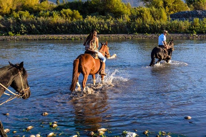 Horseback Private Wine Tour and Country Grill From Santiago