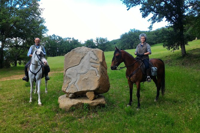 Horseback Riding & Wine Tasting With Lunch at a Historic Estate - Tour Details & Itinerary