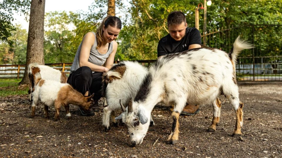 Houston: Adorable Mini Goats Experience E - Location and Activity Details