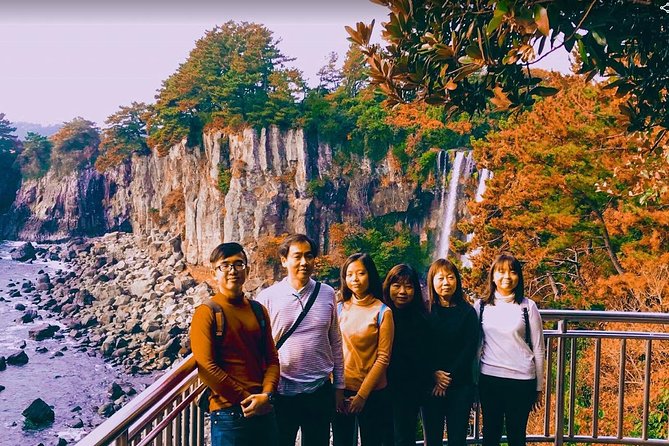 Jeju Island Taxi Tour : South Day Tour - Whats Included and Excluded