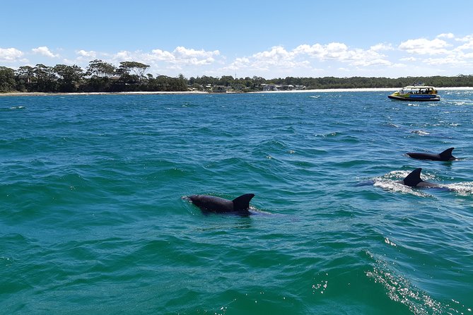 Jervis Bay Dolphin Cruise - Cruise Overview and Details
