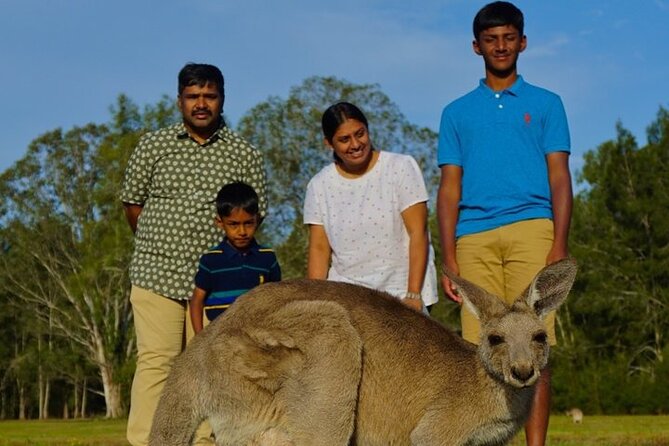 Kangaroos, Rainforest & Waterfalls Experience - Small Group - Unforgettable Australian Wildlife Encounters