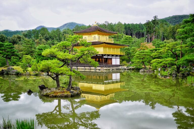 Kyoto and Nara Golden Route 1 Day Bus Tour From Kyoto