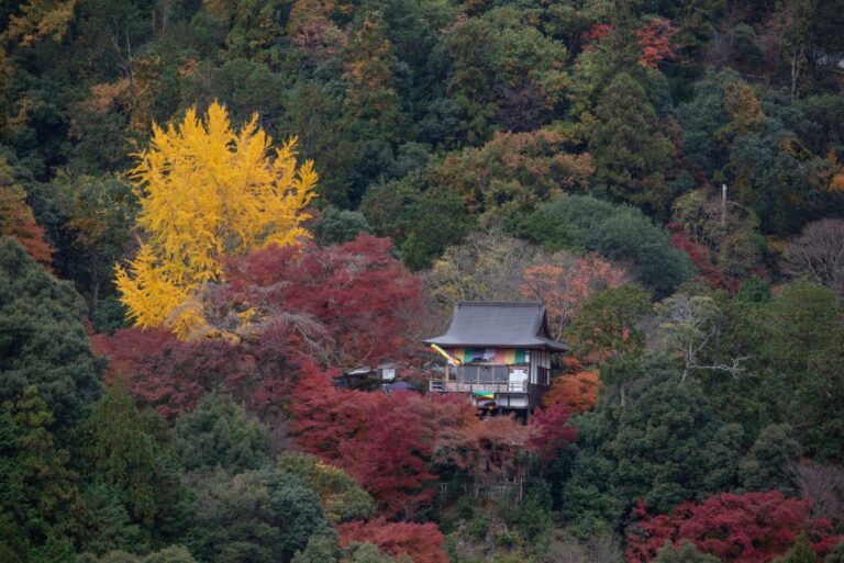 Kyoto: Arashiyama Forest Trek With Authentic Zen Experience