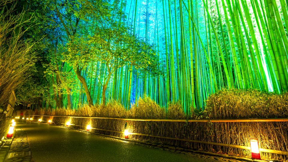 Kyoto: Japanese Gardens Private Customizable Tour - Tour Details