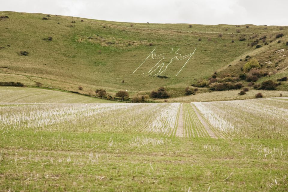 London: Set out on a Guided Tour of South Downs White Cliffs - Tour Details