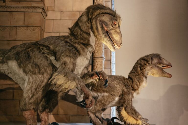 London: Natural History Museum Private Guided Family Tour