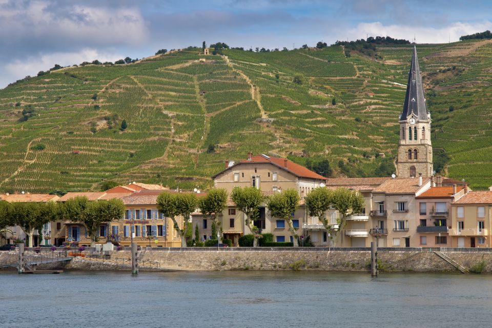 Lyon: Half-Day Côte-Rotie Wine Tasting Tour - Tour Information