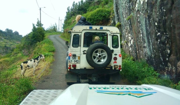 Madeira: Mini-Combo East Challenge: Jeep Safari + Levada