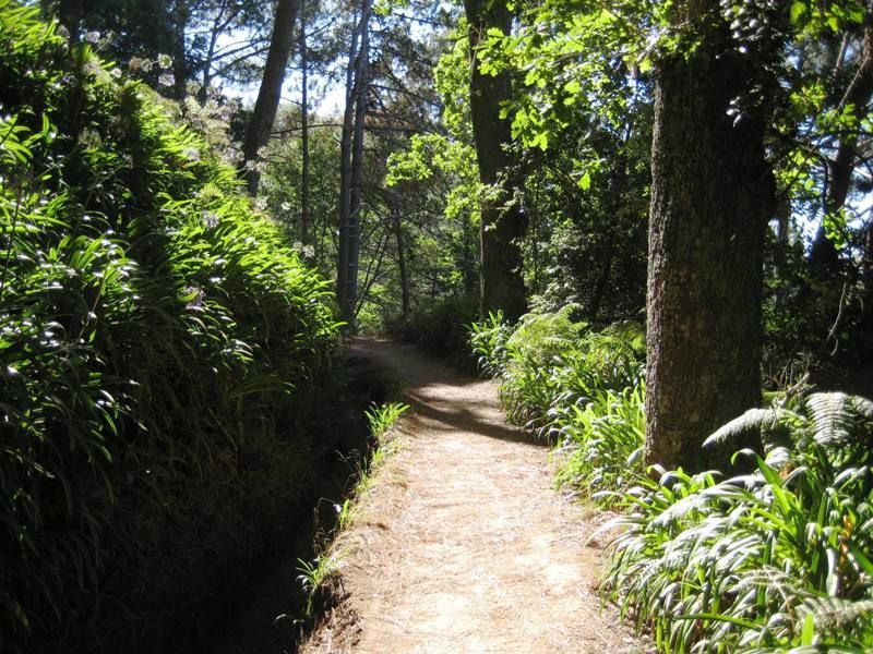 Madeira: Paradise Valley Levada Walk - Location and Activity Details