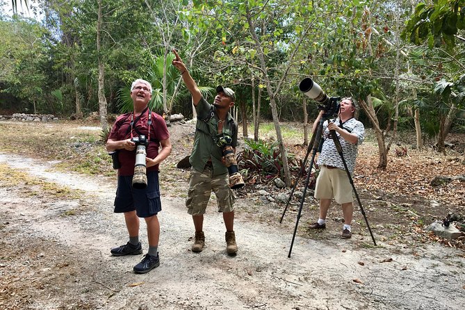 Mahahual and Costa Maya Birdwatching - Birdwatching in Mahahual and Costa Maya