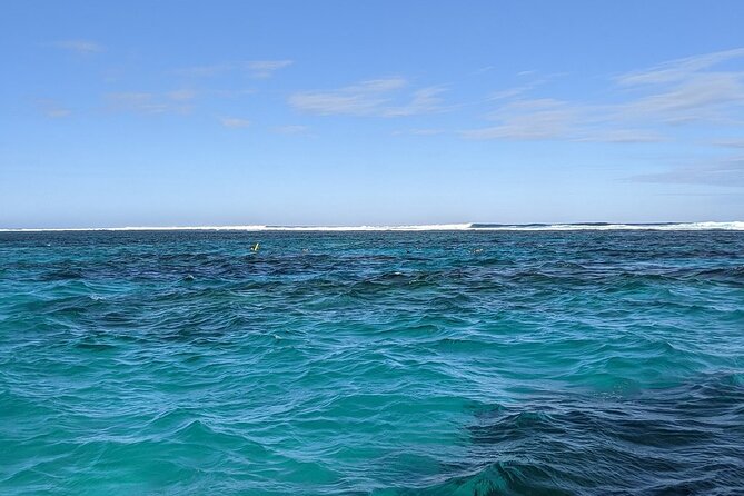 Marine Eco Safari - Swim With Manta Rays - Exploring Ningaloo Reef