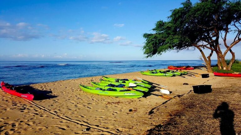 Maui: West Side Discovery Kayak & Snorkel From UKUMEHAME