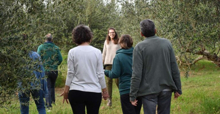 Messenia: Olive Oil Experience-Basic Tour and Tasting