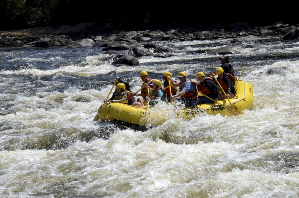 Mont-Tremblant: Full Day of Rouge River White Water Rafting - Activity Details