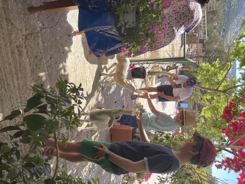 Naxos: Private Half-Day Family-Friendly Tasting Tour - Tour Overview