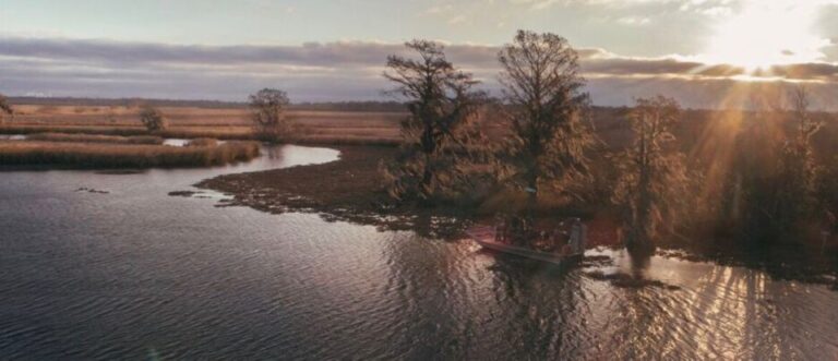 New Orleans: 10 Passenger Airboat Swamp Tour