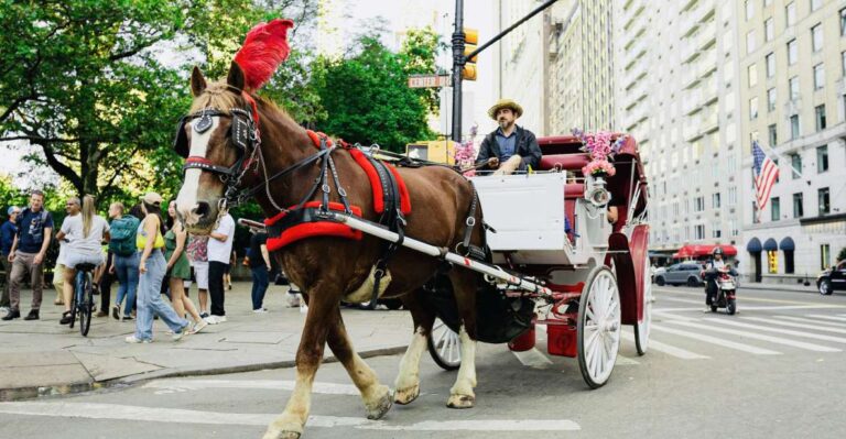 New York City: Central Park Private Horse and Carriage Tour