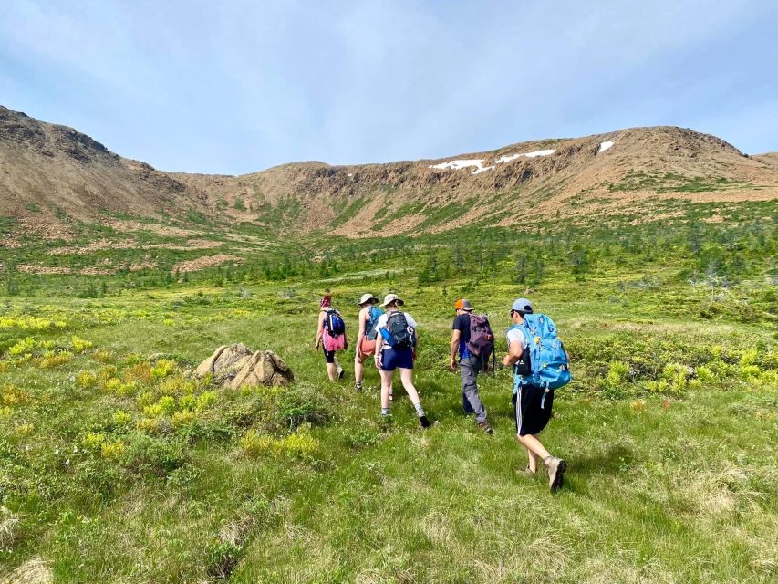 Newfoundland: Blow Me Down Mountains Half Day Hiking Tour - Tour Details