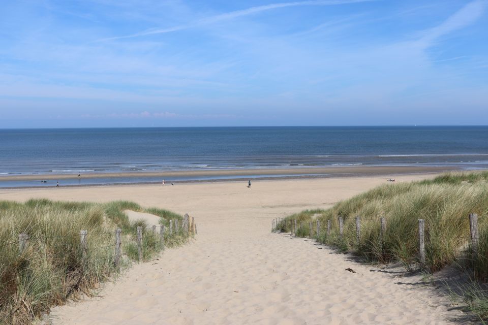 Noordwijk: Beach and Dunes Bike Tour - Activity Details