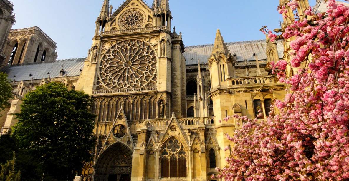 Notre Dame: Private Guided Visit - Location and Provider