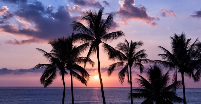 Oahu: Half-Day Sunset Photo Tour From Waikiki