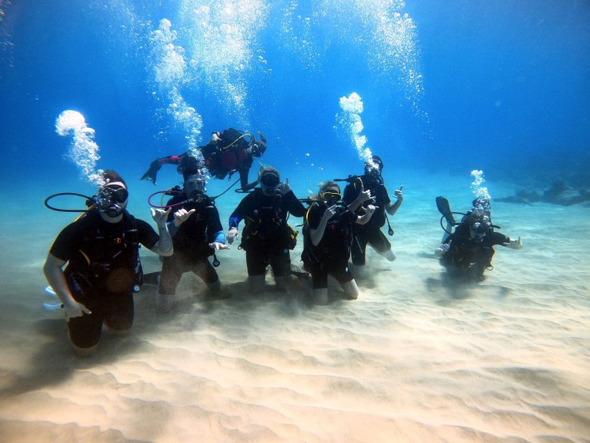 Oahu: Scuba Diving Lesson for Beginners - Group Size and Instructor Information