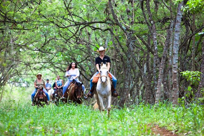 Oahu Sunset Horseback Ride - Experience Overview