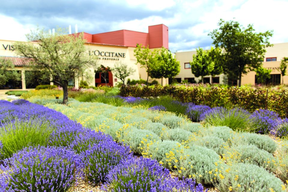 Ocean of Lavender in Valensole - Valensole Lavender Fields