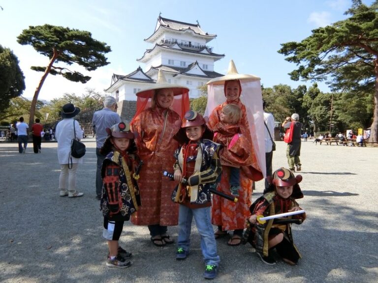 Odawara: Odawara Castle and Town Guided Discovery Tour