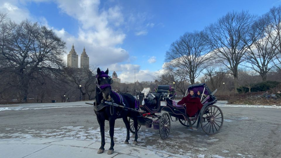 Official Exclusive VIP Horse Carriage Ride in Central Park - Booking Details