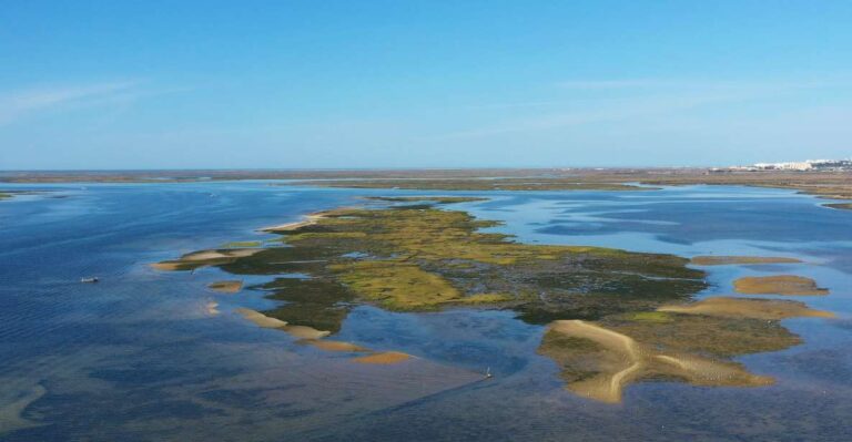 Olhão: Ria Formosa Boat Cruise to Armona and Culatra