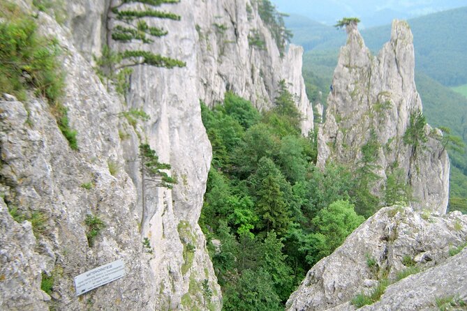 Outdoor Climbing - via Ferrata Experience in Vienna - Additional Information