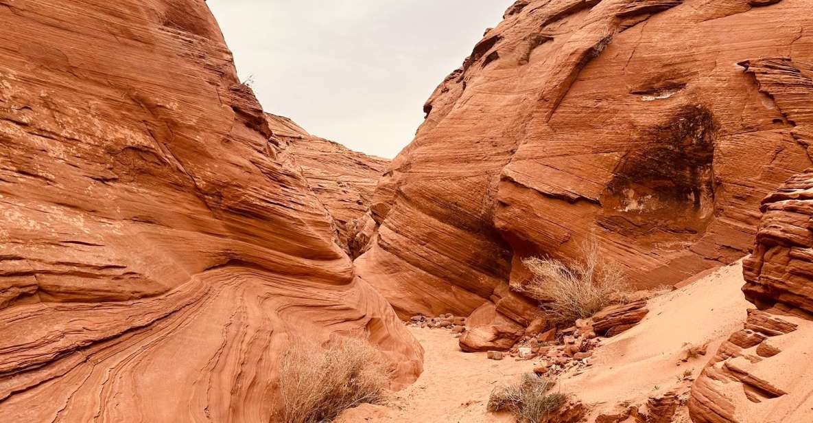 Page: Mountain Sheep Slot Canyon Guided Hiking Tour - Booking Information