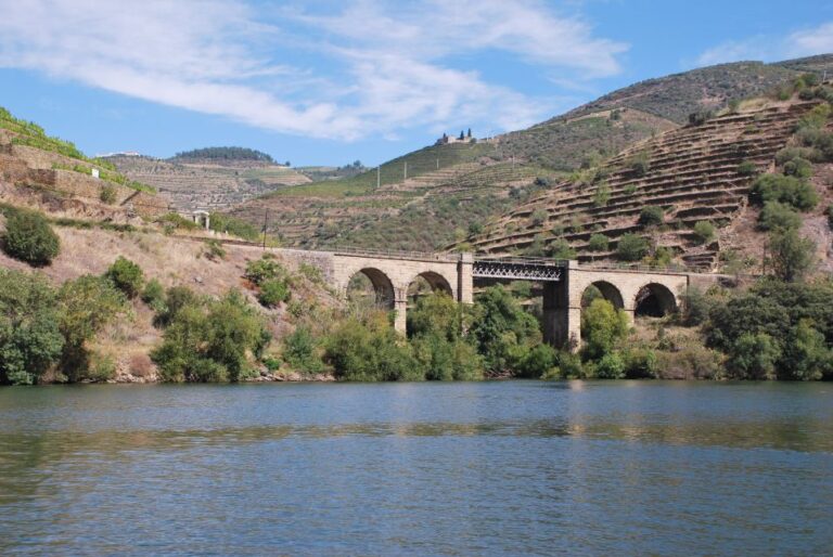Pinhão: Private Rabelo Boat Tour Along the River Douro