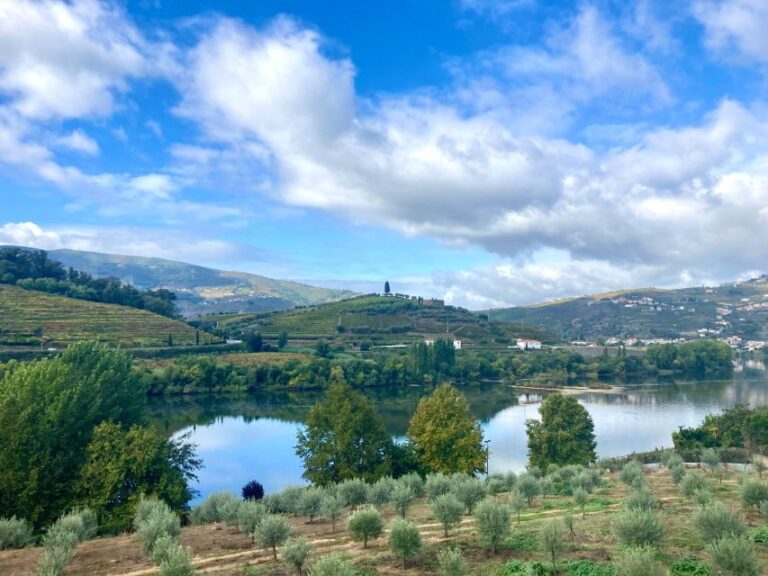 Porto: Douro Valley Wine Tour With Tastings, Boat, and Lunch