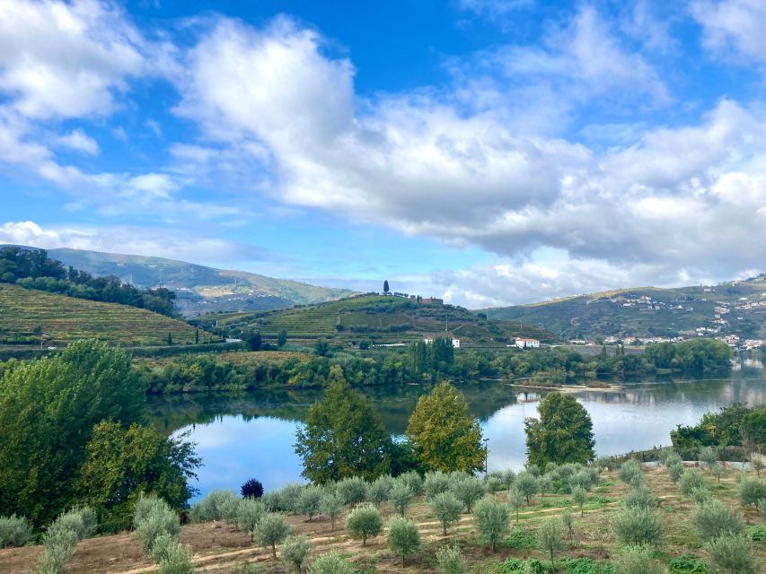 Porto: Douro Valley Wine Tour With Tastings, Boat, and Lunch - Tour Details
