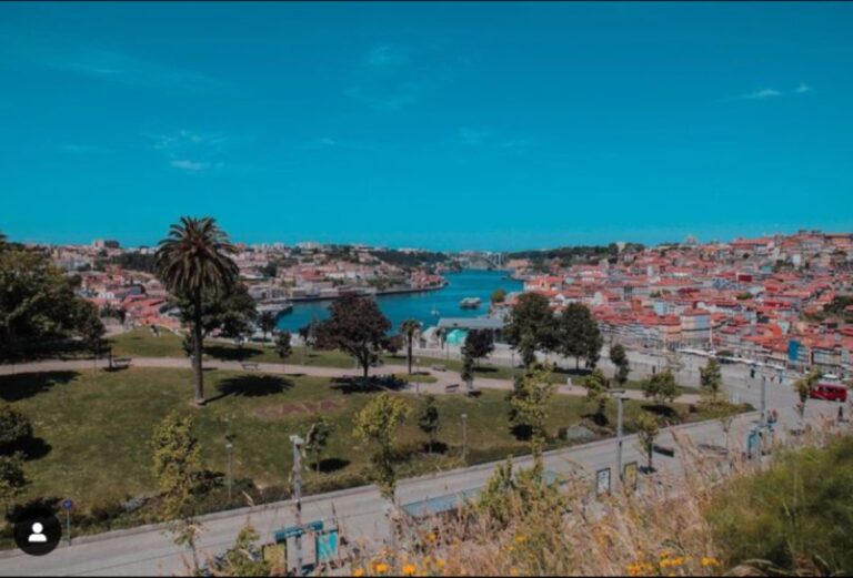 Porto: Monuments, Landmarks, and Cuisine Tour