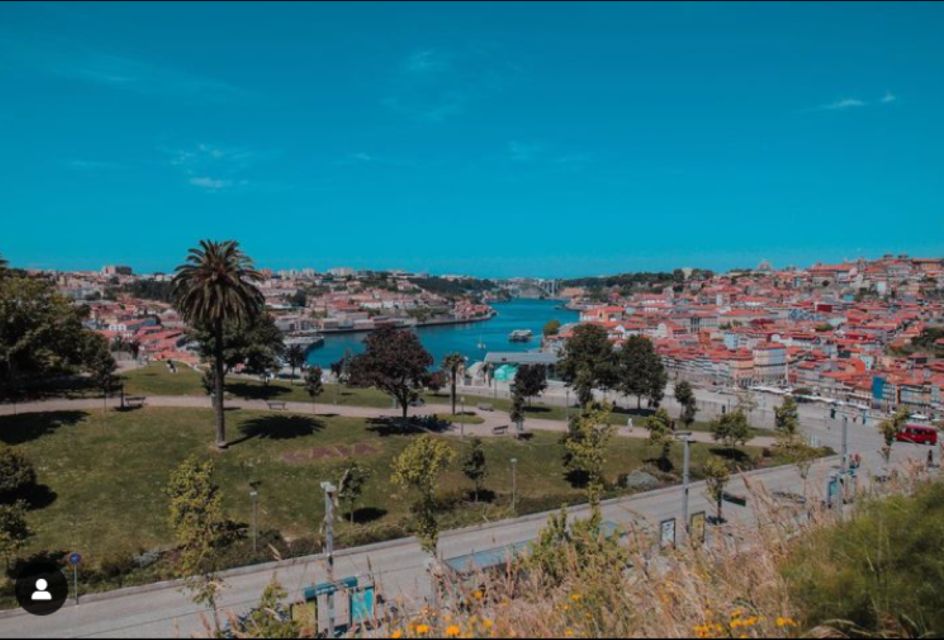 Porto: Monuments, Landmarks, and Cuisine Tour - Discover Portos Architectural Marvels