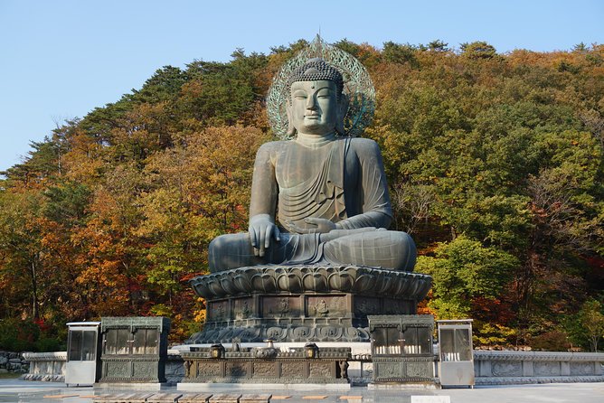 [Premium Private Tour] Mt Seorak & East Sea or Nami Island From Seoul - Tour Highlights and Inclusions