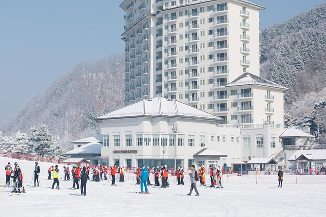 Private 1:1 Ski Lesson Near Seoul, South Korea - Private Ski Lesson Overview
