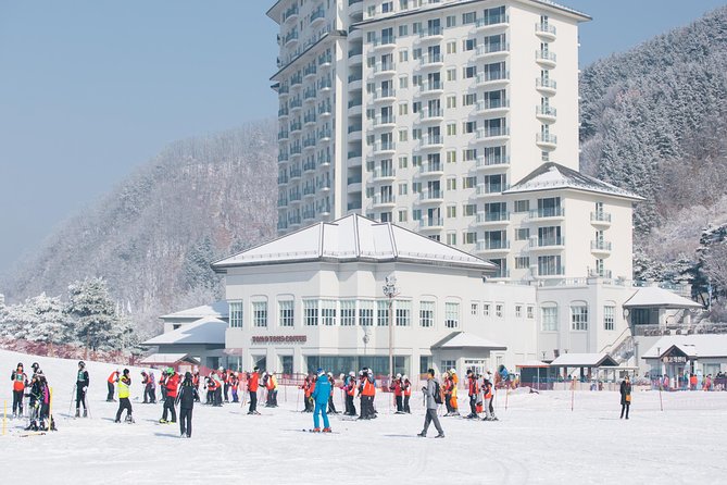 Private 1:1 Ski Lesson Near Seoul, South Korea