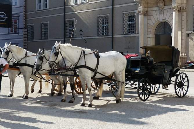 Private 2-Hour Walking Tour of Salzburg With a Local Guide - Tour Inclusions and Logistics