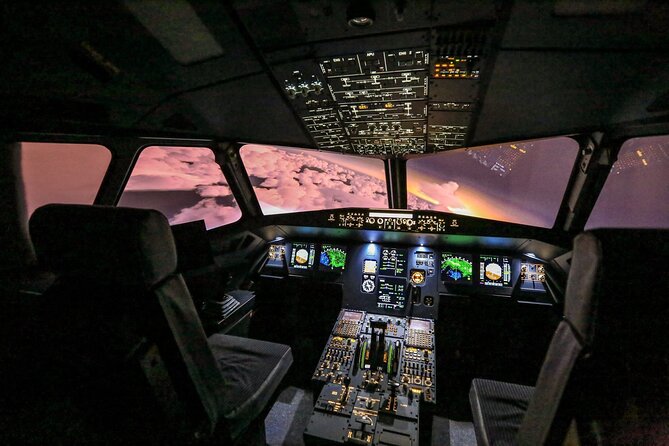 Private Pilotage of a Flight Simulator in Paris - Simulator Overview