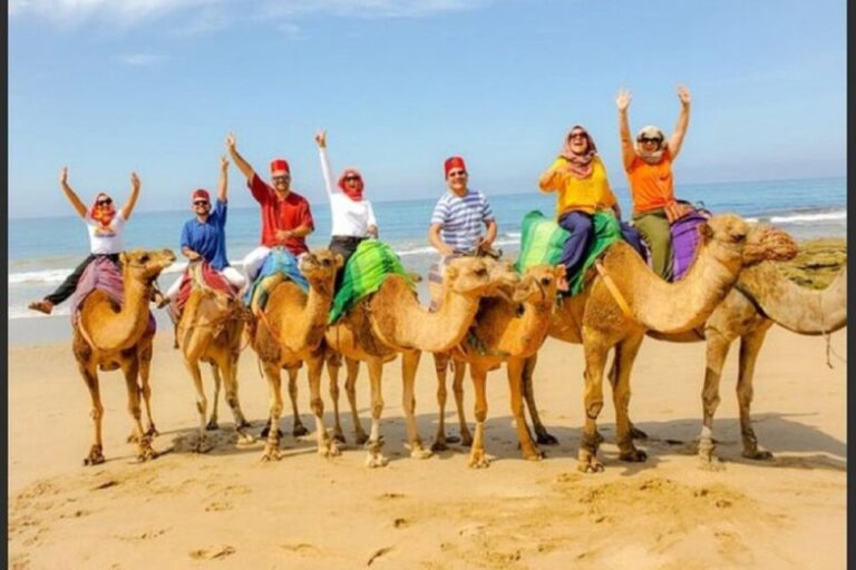 Private Tangier Tour From Seville Including Camel & Lunch