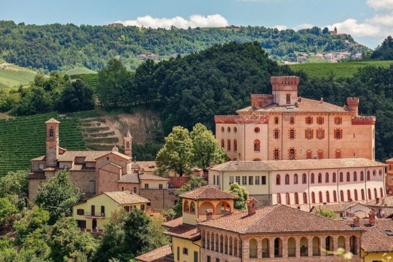 Private Tour: Barolo Wine Tasting in Langhe Area From Torino